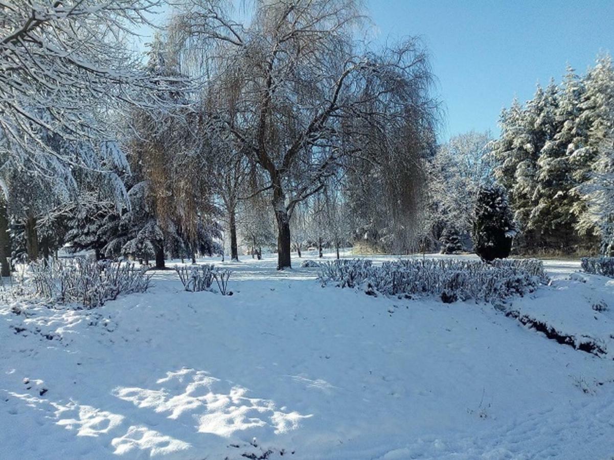 Au Marronnier Daire Lontzen Dış mekan fotoğraf